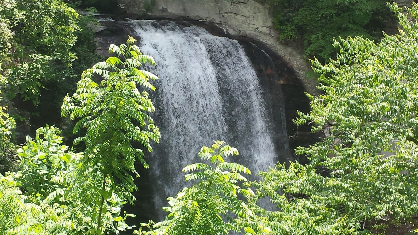Waterfall in the trees